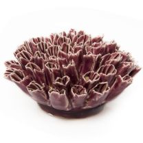 Chive Coral 3 Flower Purple