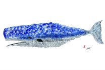 FishAye Trading Placemat Whale