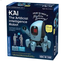 Kai Ai Robot
