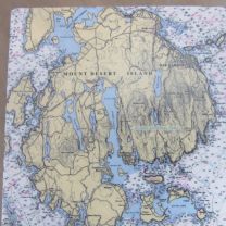 MDI Coaster